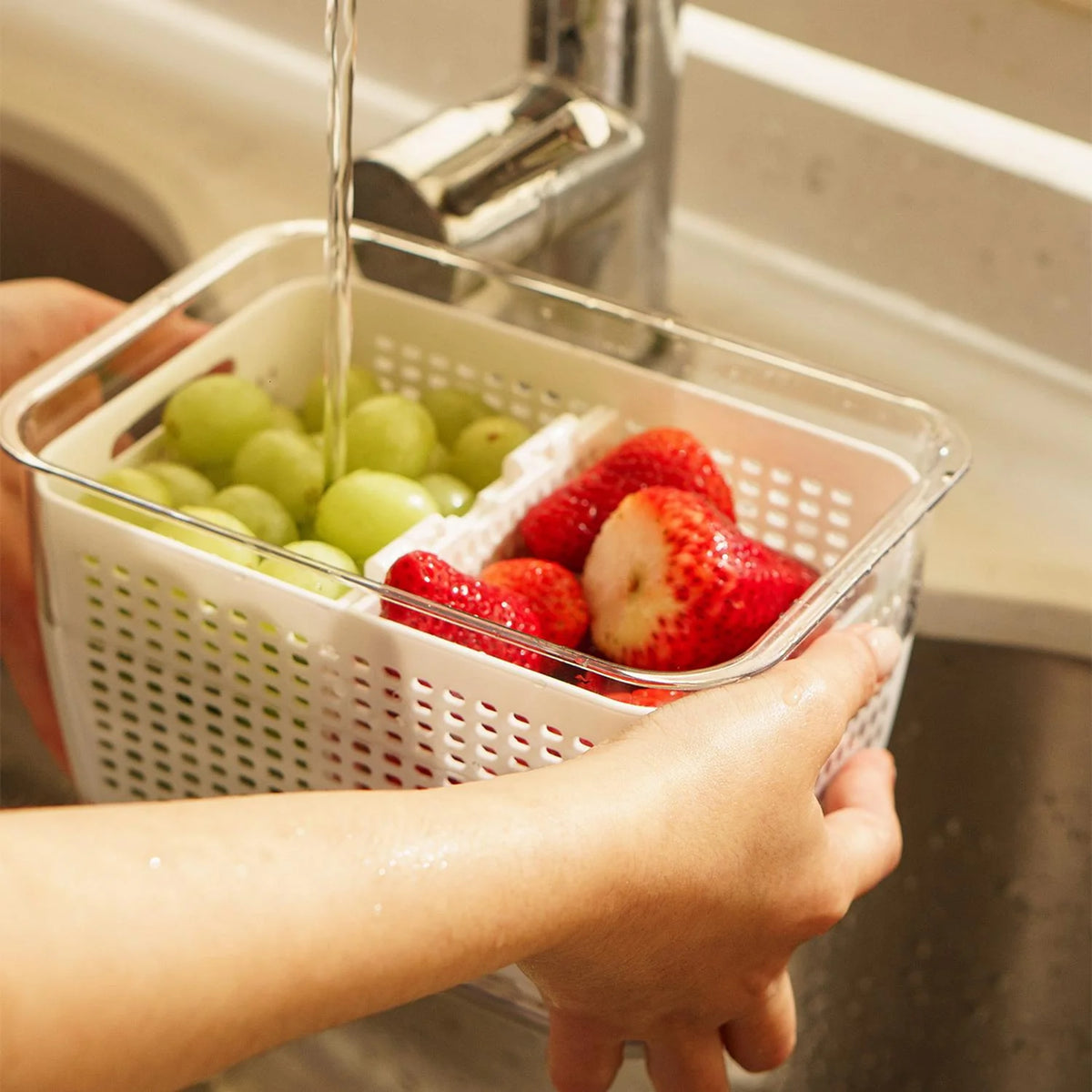 ORGANIZADOR REFRIGERADOR FRESHBOX / TALLA L