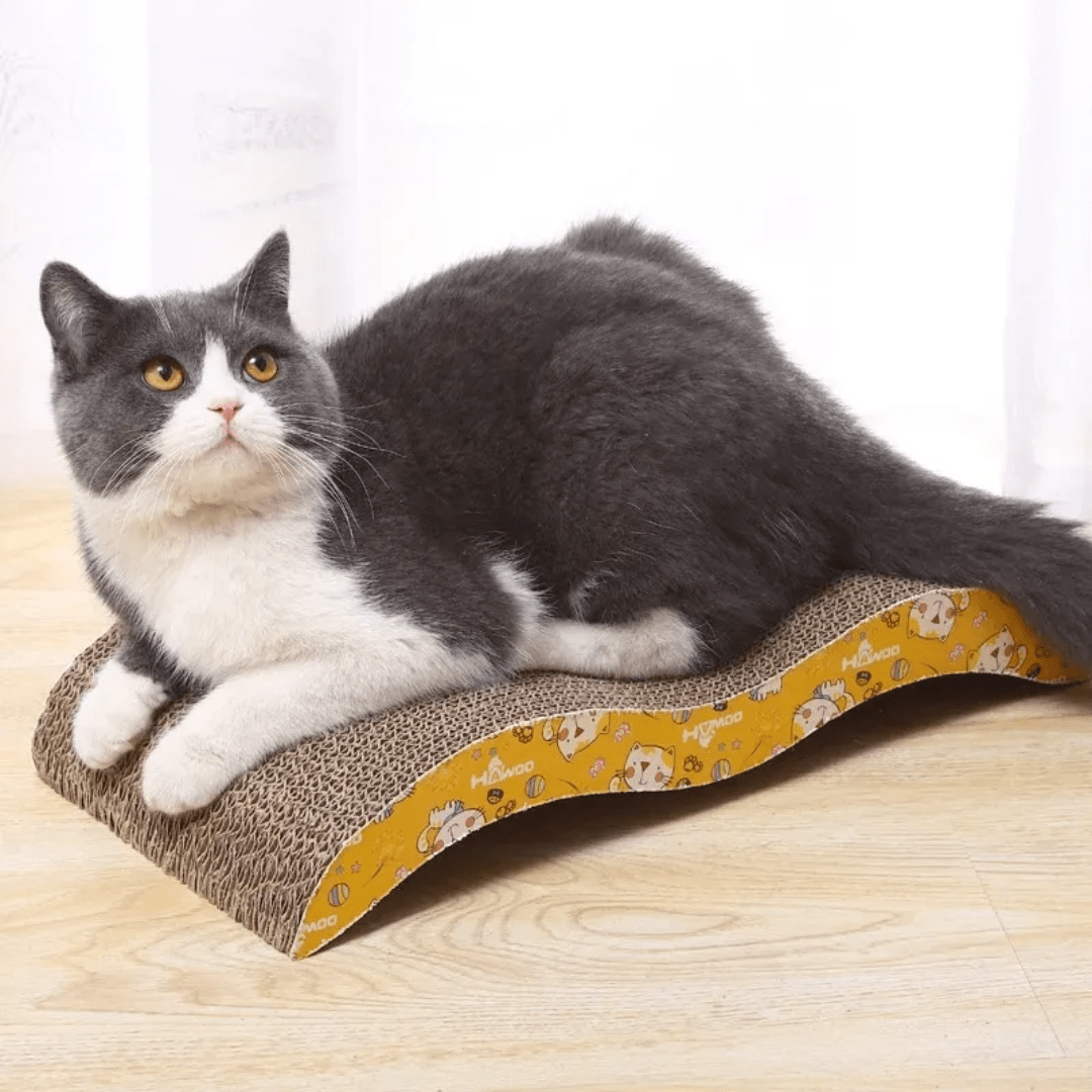 RASCADOR PARA GATO DE CARTÓN - CATSCRATCH