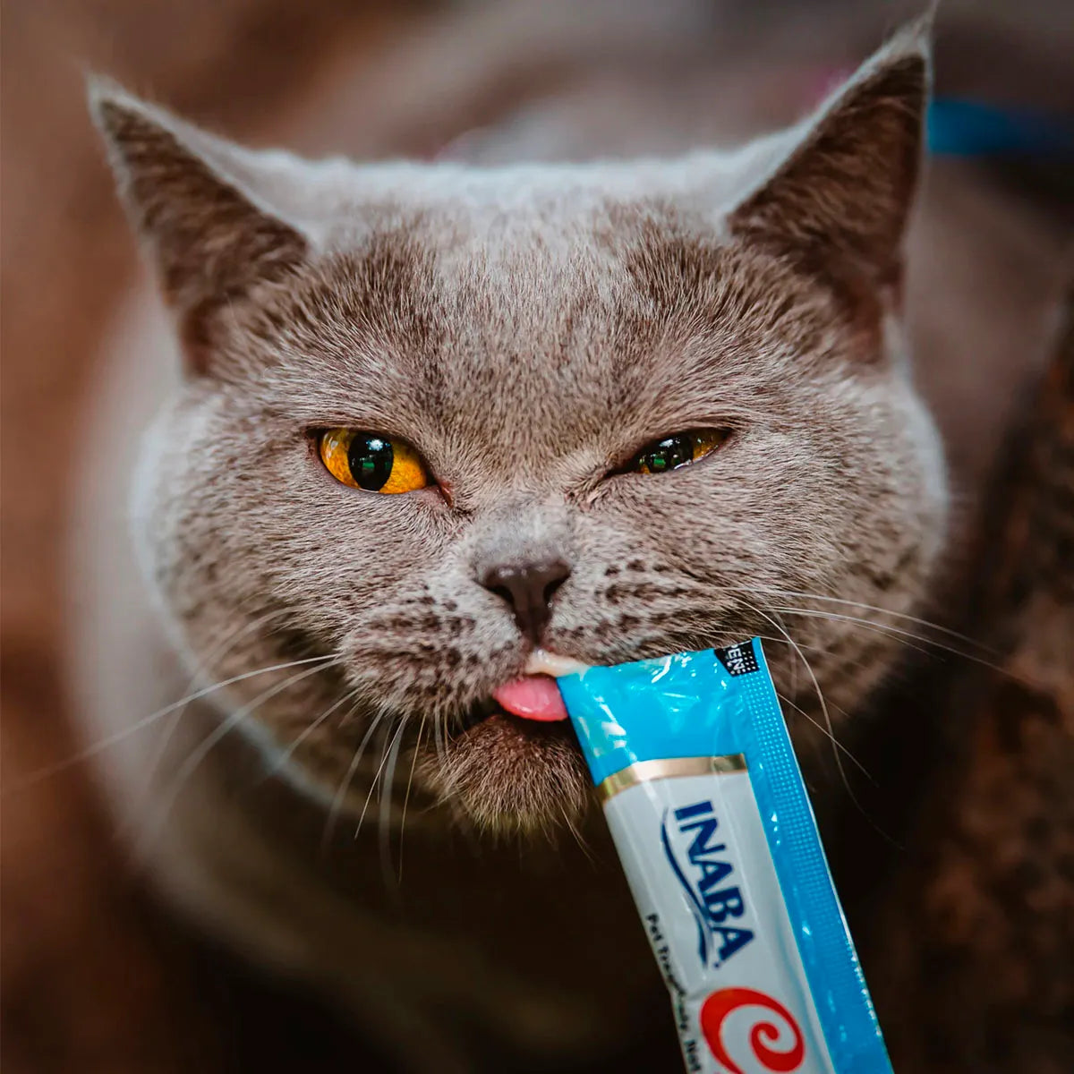 PACK 4 CHURUS – SNACK CREMOSO PARA GATO INABA ATÚN & SALMÓN