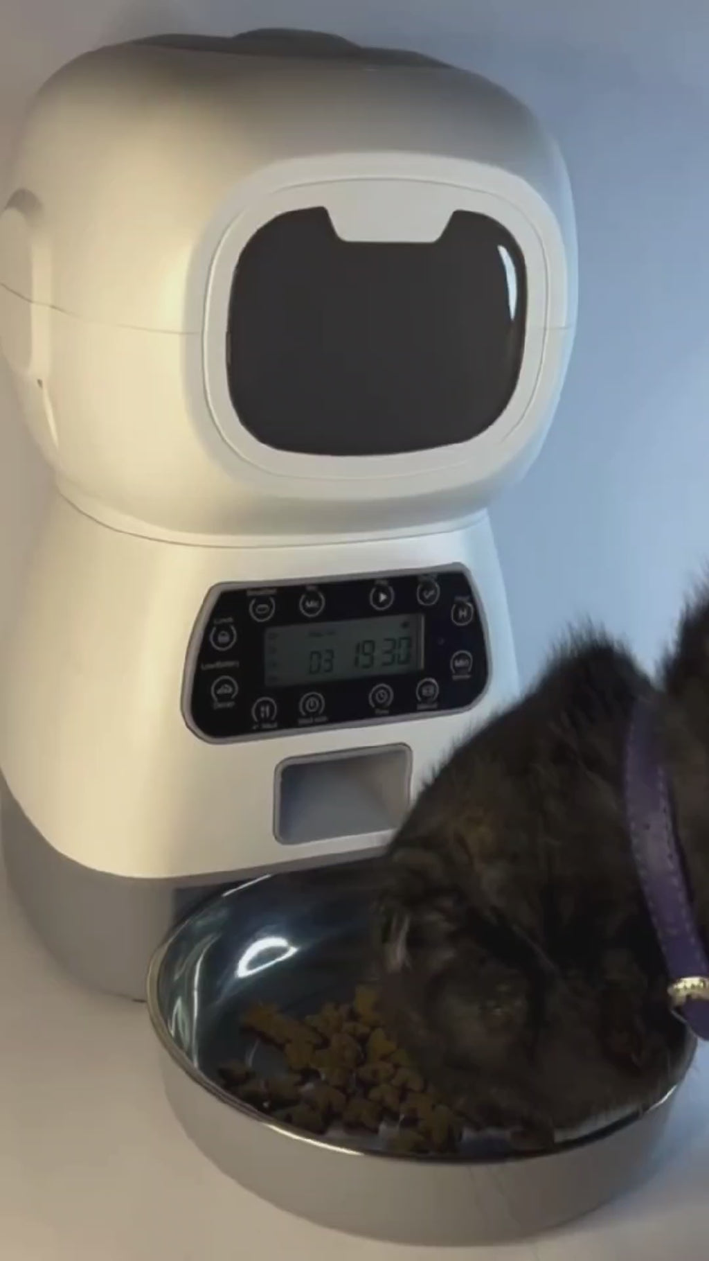 DISPENSADOR AUTOMÁTICO DE ALIMENTOS PARA MASCOTAS – FEED PET